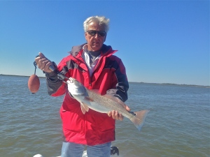 Gary Moss with a nice catch of reds and seatrout!