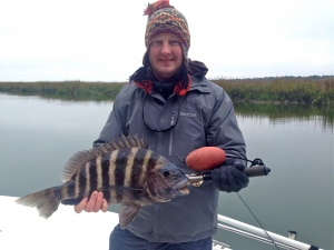 Brian & Anna Huneycutt with Nice Sheepshead catch on a cold winter day! Here's Brian with a chunky 6 pounder!