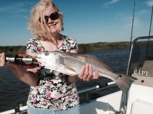 Cathy with a nice redfish! Redfish bite is heating up!