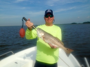 Jeff Grubbs with a nice redfish! Jeff had a big day with lots of schoolie reds!