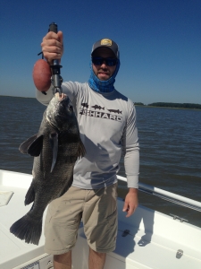 David Coleman with a nice black drum fishing Savannah waters!